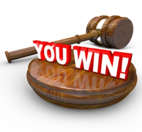 case litigation